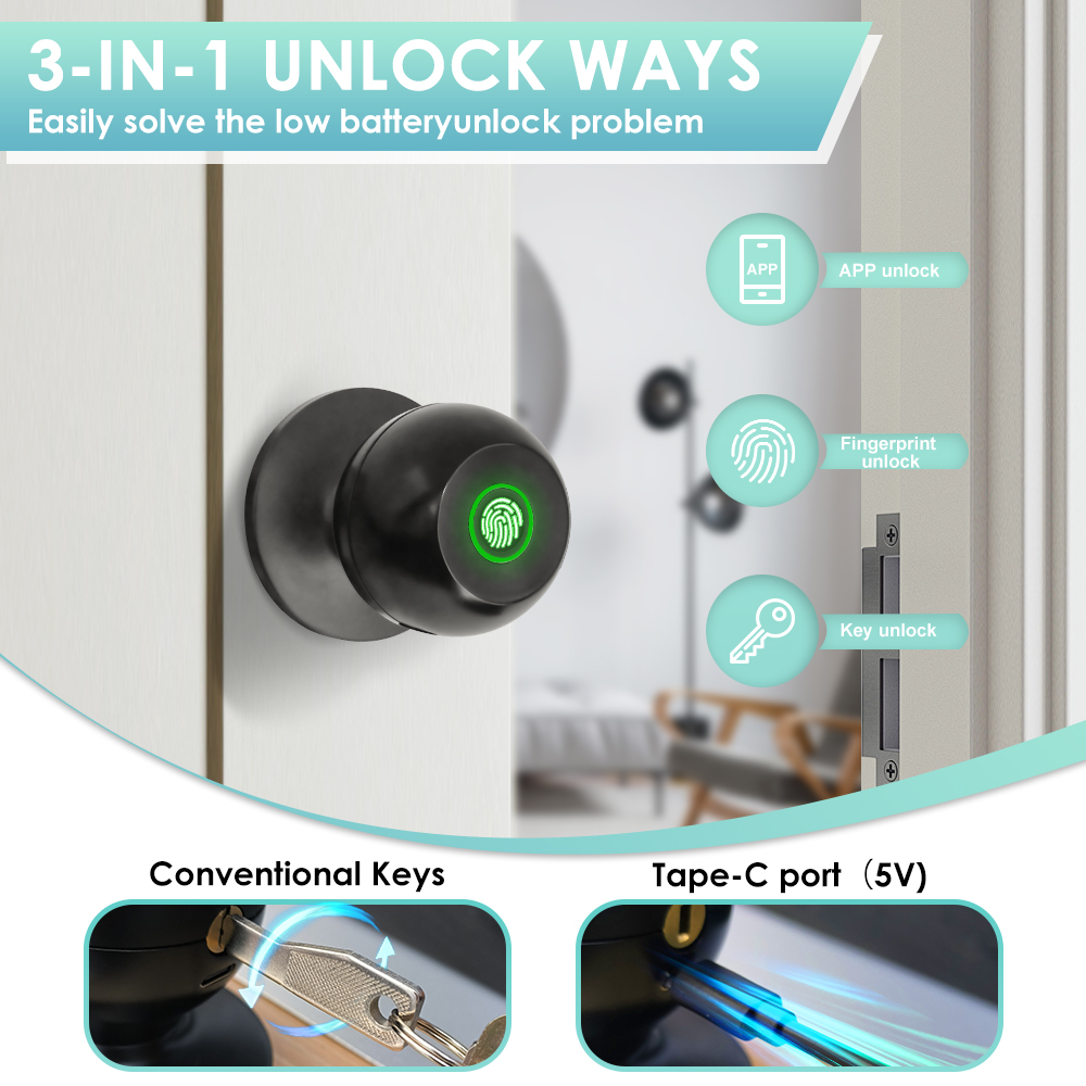Tuya Electronic Door Lock Smar - Office Tech review and price